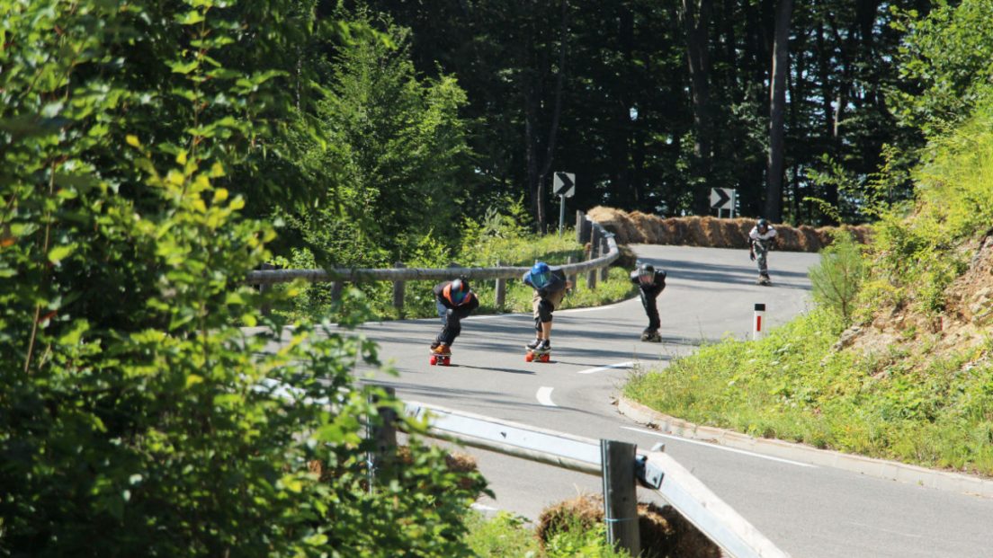 No Paws Down 2020 racing heat. Photo by Andres Martinez